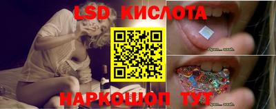 PSILOCYBIN Кулебаки