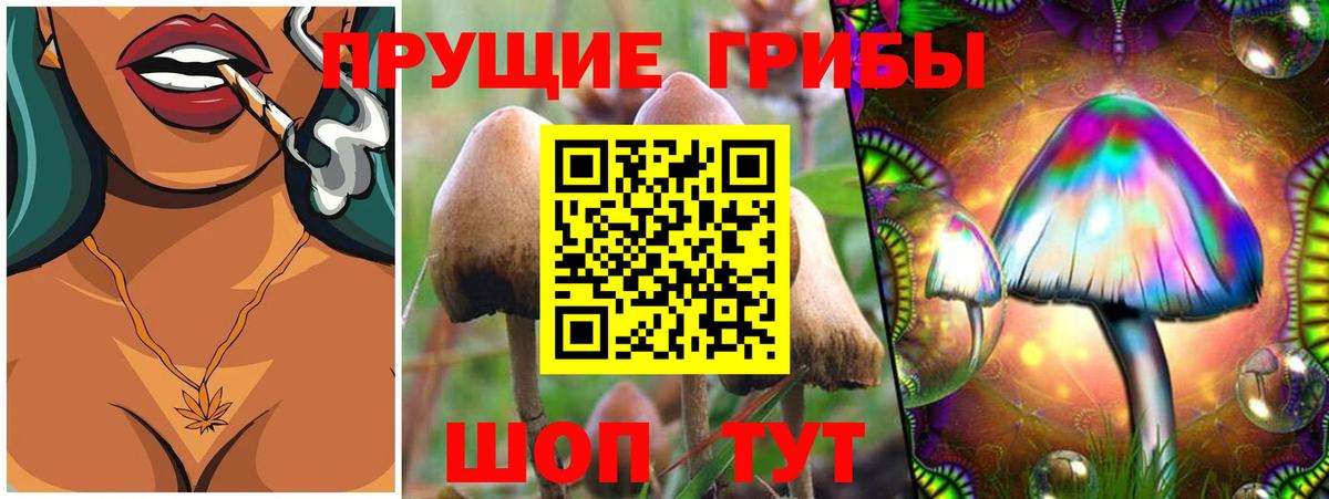 Галлюциногенные грибы Magic Shrooms Каменск-Шахтинский